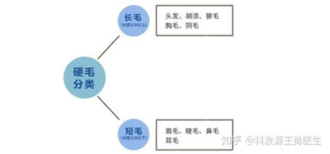 肩膀有毛|科普丨我们身上为什么会有毛，看完你还会嫌自己毛。